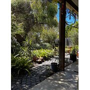 Home Owner wanting sitter in , Western Australia