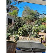 Home Owner wanting sitter in Canberra, Australian Capital Territory