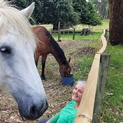 Home Owner wanting sitter in Devonport, Tasmania