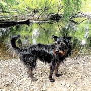 Home Owner wanting sitter in Gosford, New South Wales