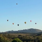 Home Owner wanting sitter in Canberra, Australian Capital Territory