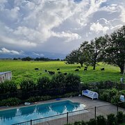 Home Owner wanting sitter in South West Rocks, New South Wales