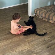 Home Owner wanting sitter in Brisbane, Queensland