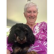 House Sitter - Lorraine,  pet and plant lover