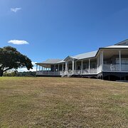 Home Owner wanting sitter in Brisbane, Queensland