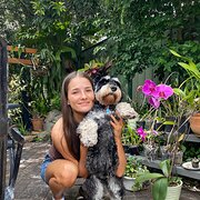 House Sitter - Solo female house sitter 