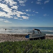 Home Owner wanting sitter in Sydney, New South Wales