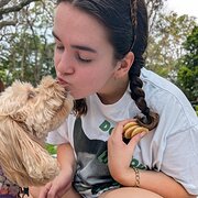 House Sitter - Emily Hamilton