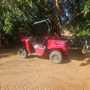 House Sitter - House sitting