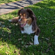 House Sitter - Lisa & Terry