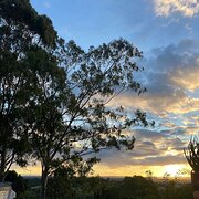 Home Owner wanting sitter in Brisbane, Queensland