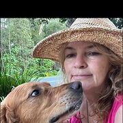 House Sitter - Mature , Trustworthy and Caring Sitter 