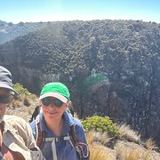 House Sitter - Irene