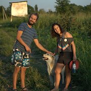 House Sitter - Two animal lovers available to help