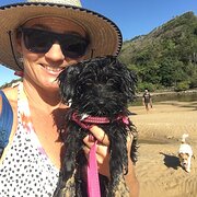 House Sitter - Elise