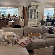 Home Owner wanting sitter in , Western Australia