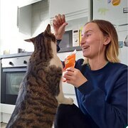 House Sitter - Animal Lovers moving to Adelaide