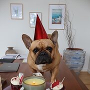 Home Owner wanting sitter in , Victoria