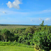 Home Owner wanting sitter in Innisfail and Cairns, Queensland