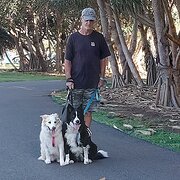 House Sitter - The Macs