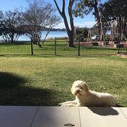 Home Owner wanting sitter in Wollongong, New South Wales