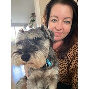House Sitter - Lauren - 40y/o full time petsitter