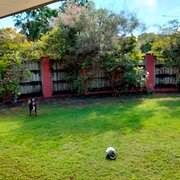 Home Owner wanting sitter in Currimundi, Queensland