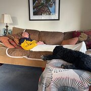 Home Owner wanting sitter in Hobart, Tasmania