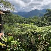 Home Owner wanting sitter in Port Douglas, Queensland