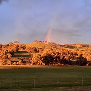 Home Owner wanting sitter in , Western Australia