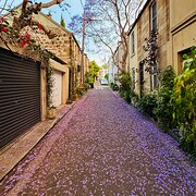 Home Owner wanting sitter in , New South Wales