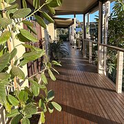 Home Owner wanting sitter in Maitland, New South Wales