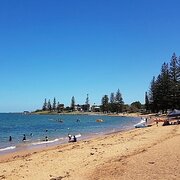 Home Owner wanting sitter in Brisbane, Queensland