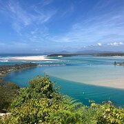 Home Owner wanting sitter in Coffs Harbour, New South Wales