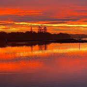 Home Owner wanting sitter in Taree 33kms / Old Bar 18kms, New South Wales