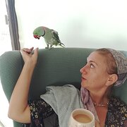 House Sitter - Responsible and relaxed-Gold Coast 