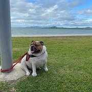 Home Owner wanting sitter in Perth, Western Australia