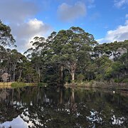 Home Owner wanting sitter in Denmark, Western Australia