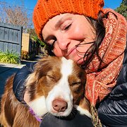 House Sitter - Secure sitter duo