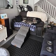 Home Owner wanting sitter in , New South Wales