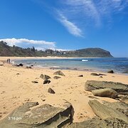 Home Owner wanting sitter in Gosford, New South Wales