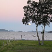 Home Owner wanting sitter in Newcastle , New South Wales