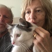 Home Owner wanting sitter in Geelong, Victoria