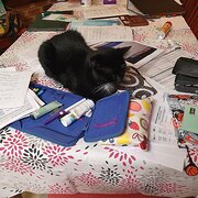 House Sitter - Sigrid 