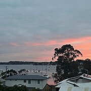 Home Owner wanting sitter in Newcastle , New South Wales