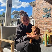 House Sitter - Shake my paw 