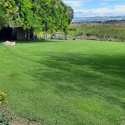 Home Owner wanting sitter in Bairnsdale, Victoria