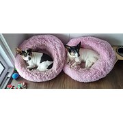 Home Owner wanting sitter in , New South Wales