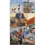 House Sitter - Tammy & John Mature reliable couple 