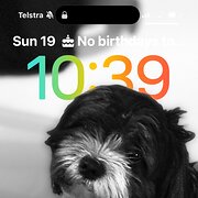 Home Owner wanting sitter in , Victoria